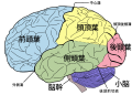 脳科学