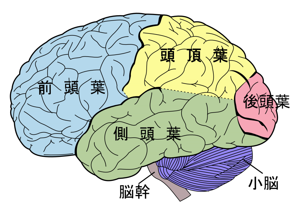 BST体験談