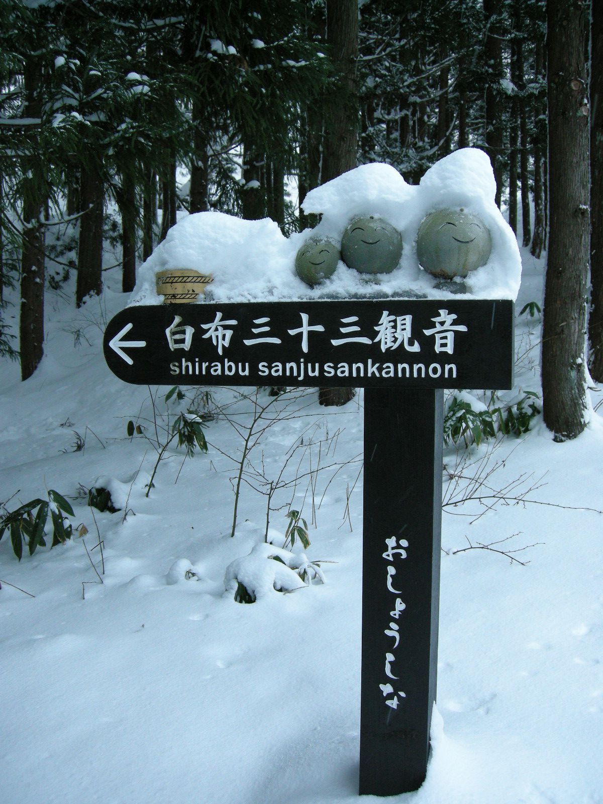 明けましておめでとうございます！