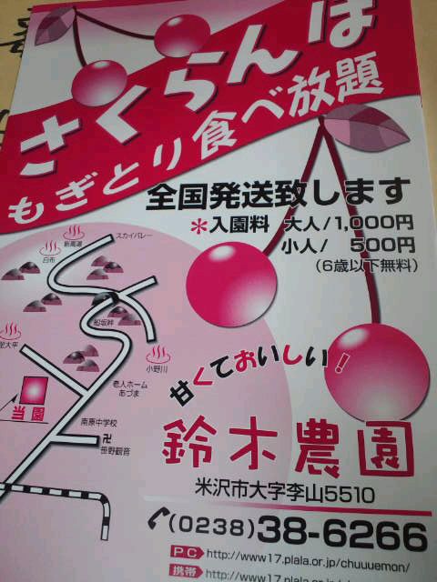 白布温泉から一番最寄りの観光さくらんぼ園　6/18～　オープン！