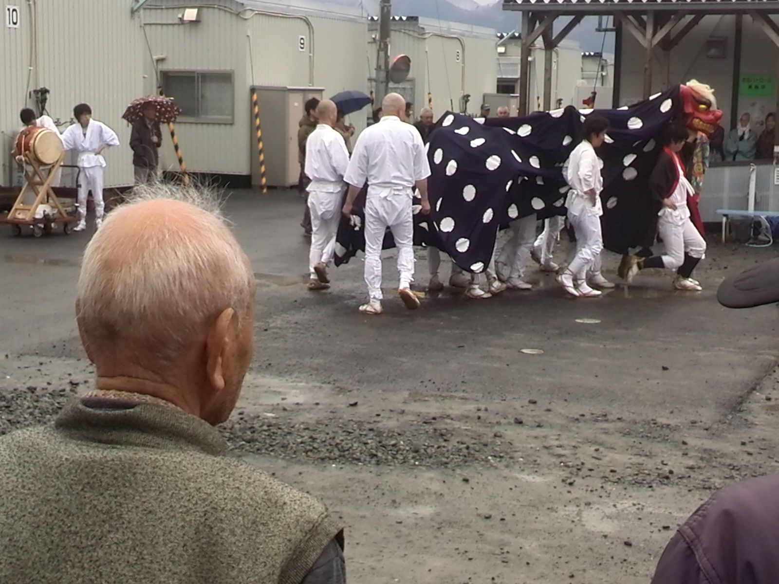 獅子と雨