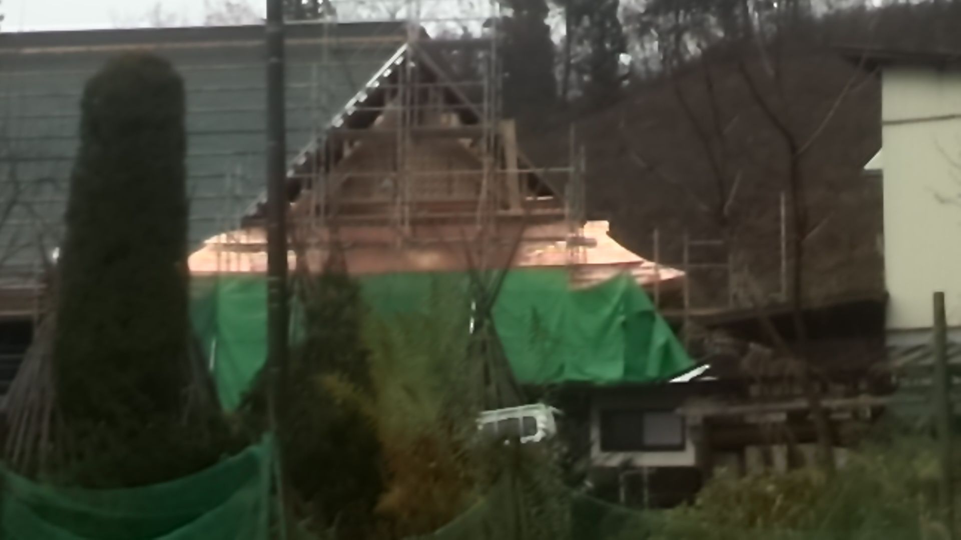 獅耳冷風