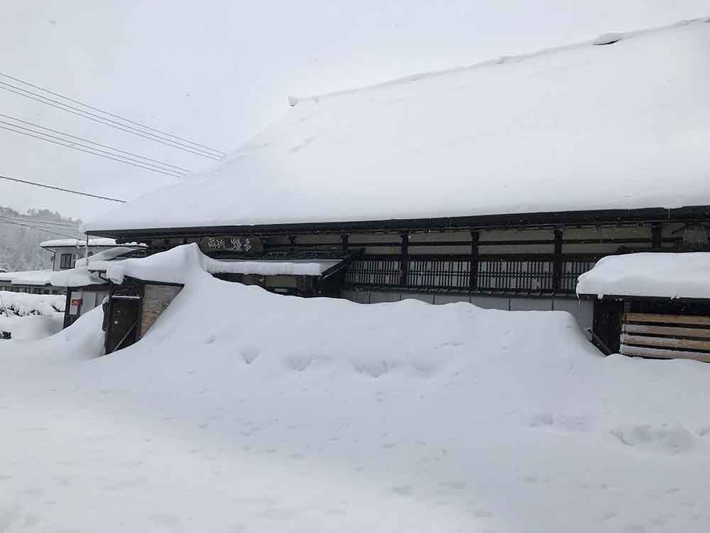 ブログ新居へ移りました