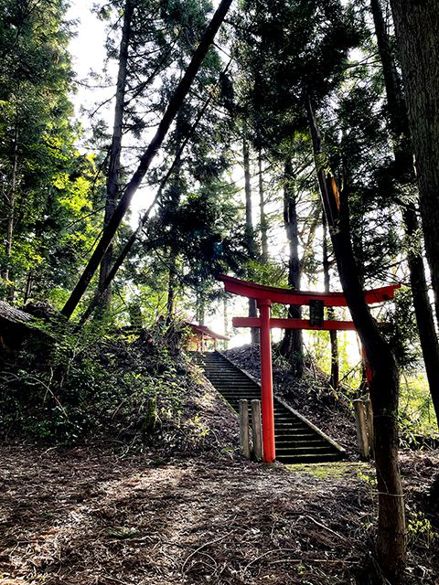 朝日町4月29日獅子舞取材1大舟木熊野神社