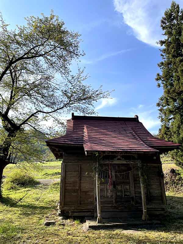 朝日町4月29日獅子舞取材3松原厳島神社