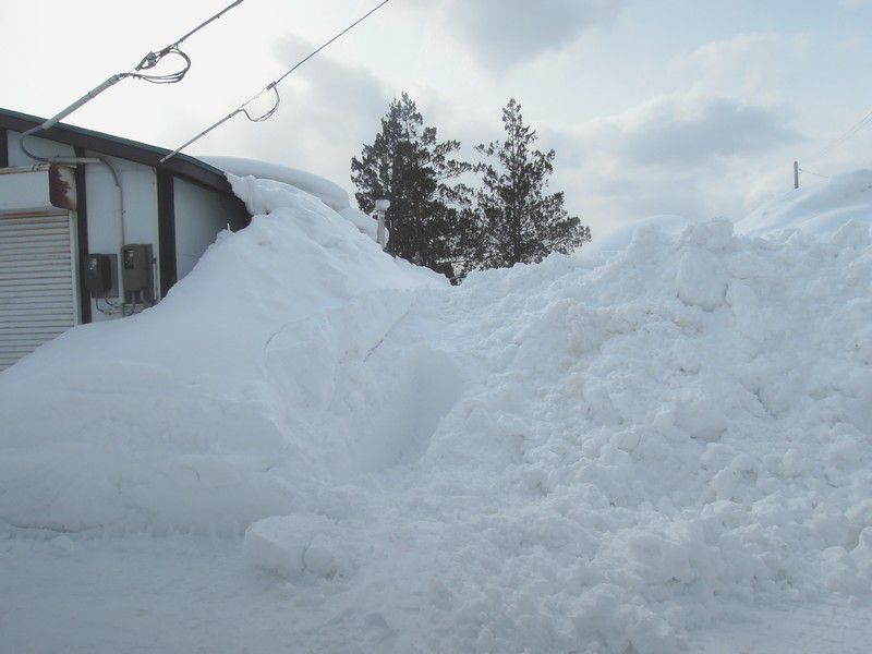 今年も大雪です