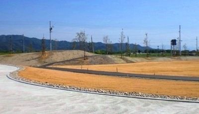 芝生はまだですが・・・。