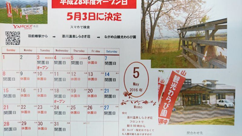 眺め山ワラビ園開園！