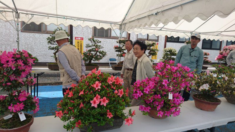 東部さつき展