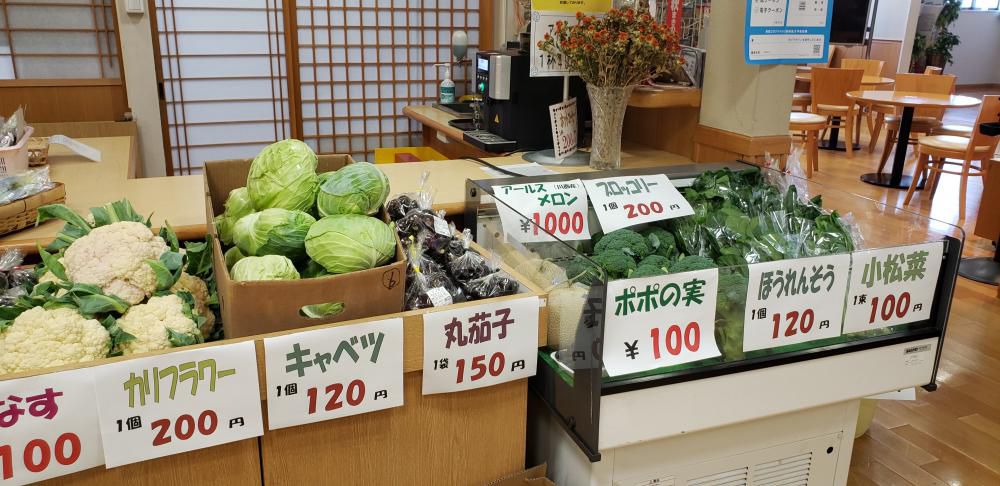あっという間に秋ですね！