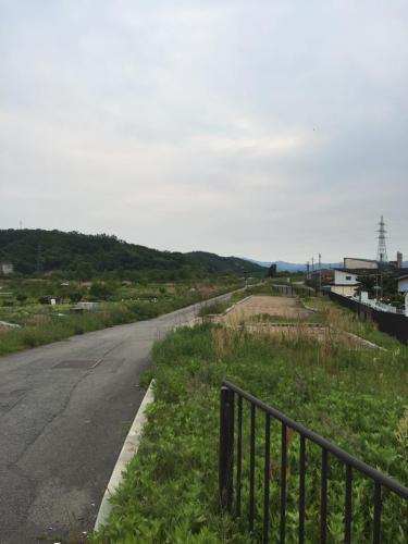 最上川の土手
