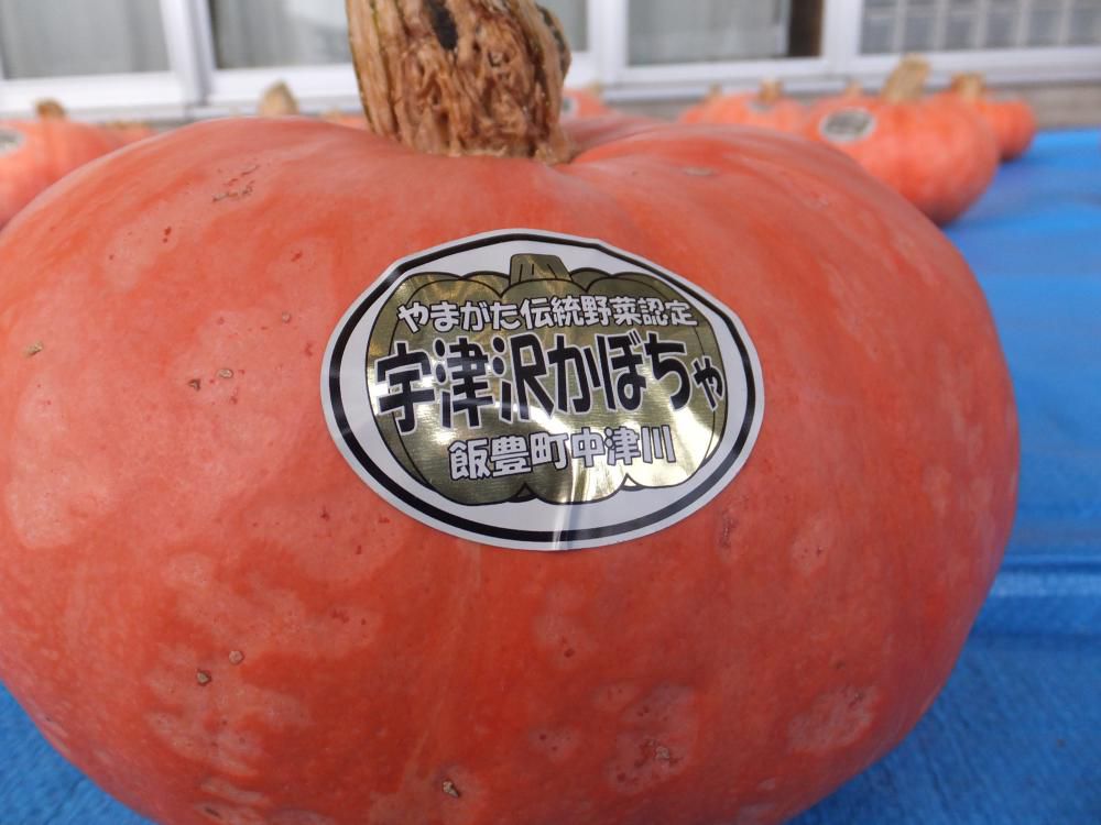 宇津沢かぼちゃに　認証マーク　が付きました。