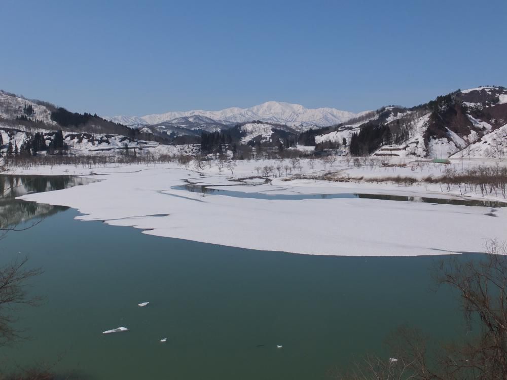 白川湖も春の装い
