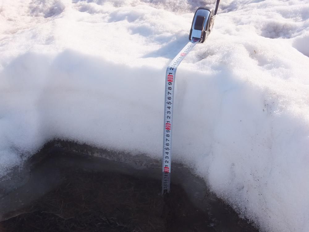 この調子だと、あと３日で雪が消える予定かな