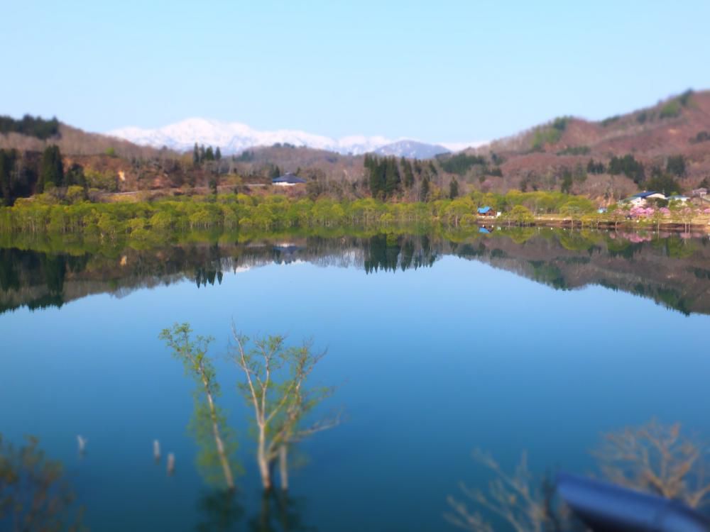 水没林、今が見ごろ。