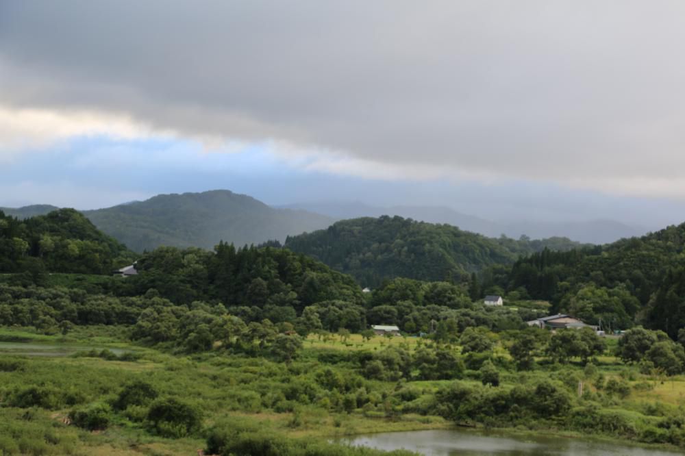 お久しぶりです。大変ながらくご無沙汰しておりました。