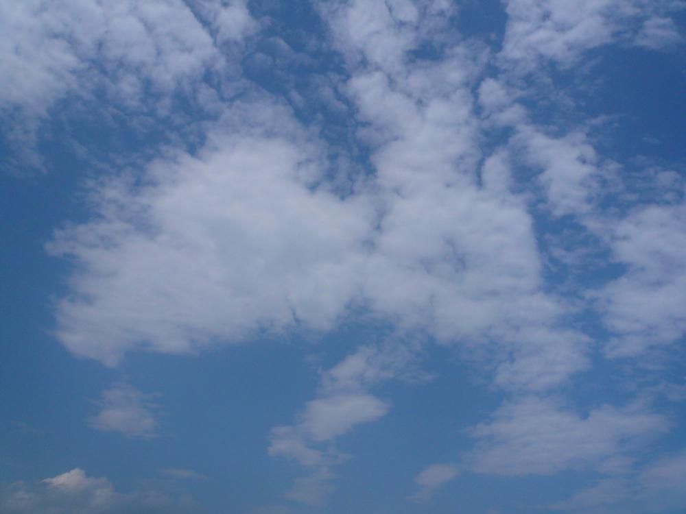 台風後って(*_*;