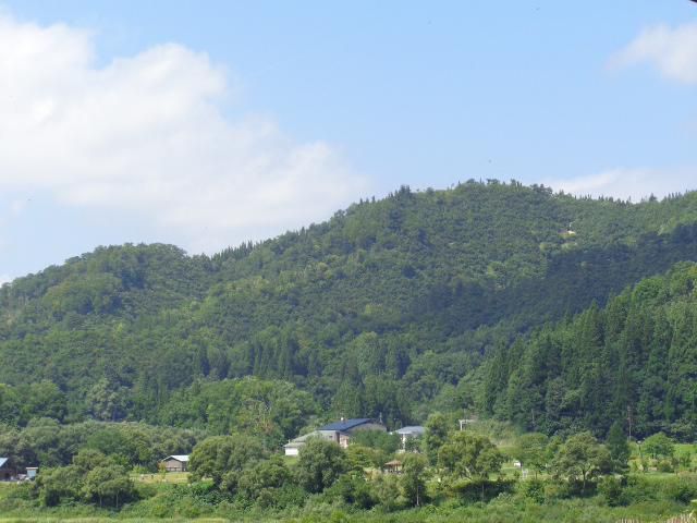 どうか今年も( ｀ー´)ノ