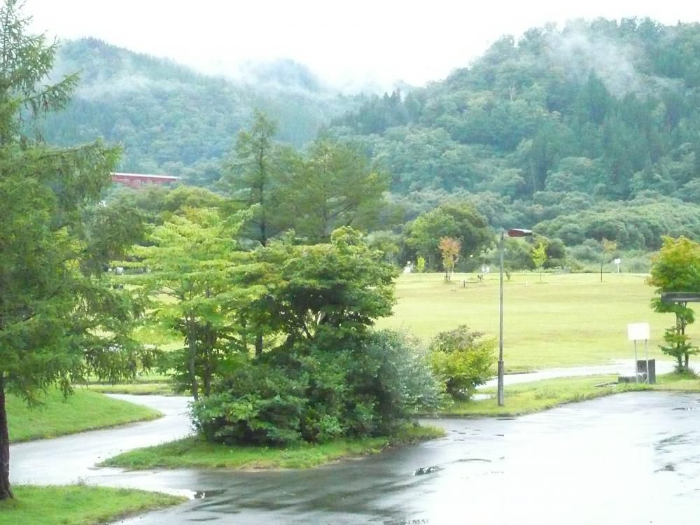 今日は？