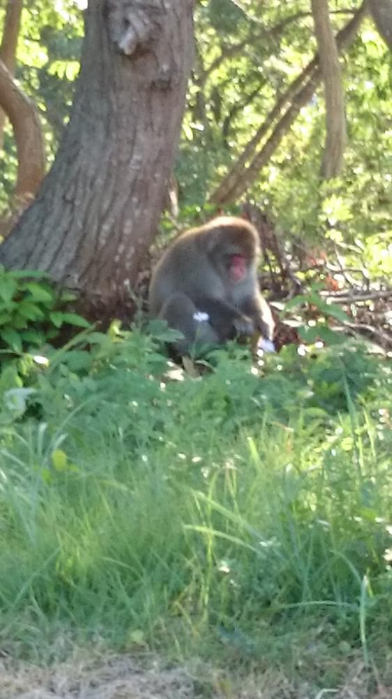 これから( *´艸｀)