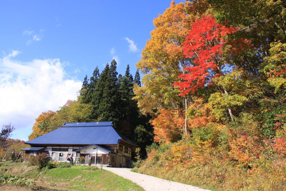 これから山は(＾◇＾)