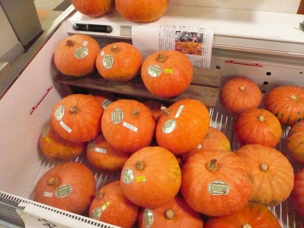 宇津沢かぼちゃ(^^)/