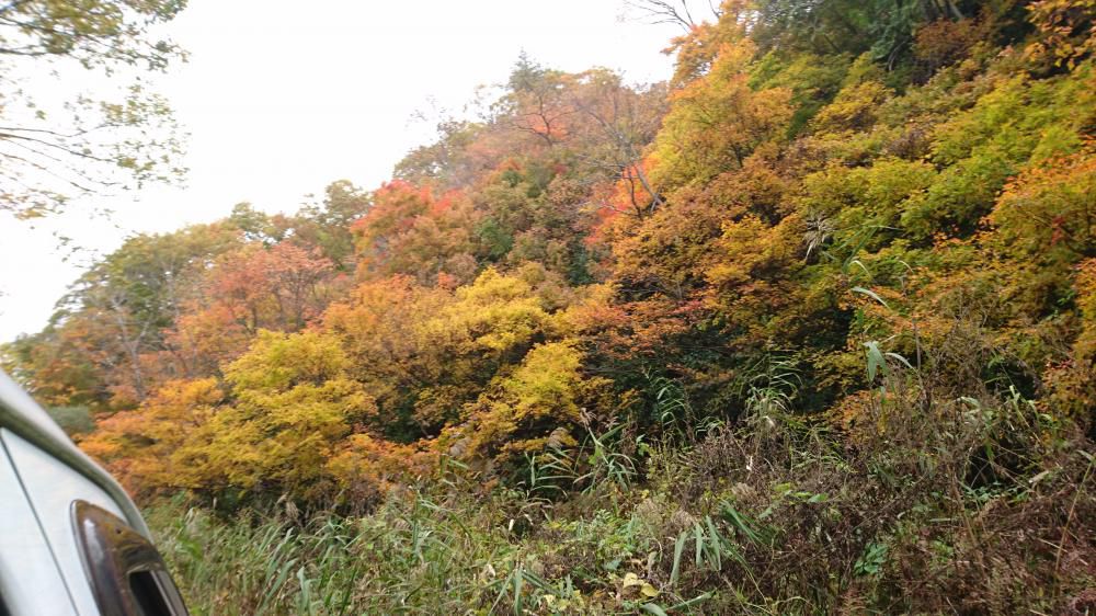 紅葉も絶景スポット