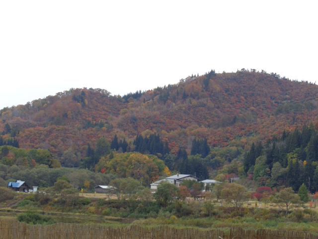 山形県飯豊町中津川地区　道路交通情報