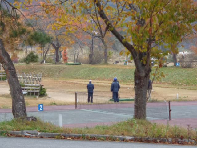 山形県飯豊町中津川地区　道路交通情報