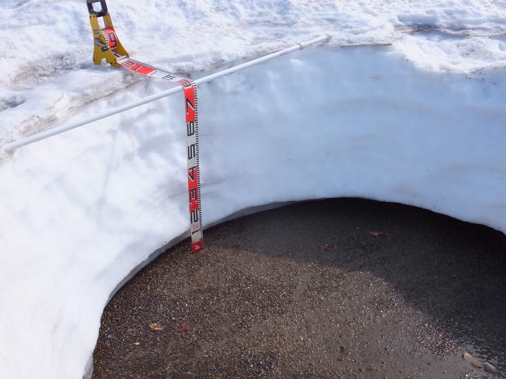 残雪　残り80cm　もう少しお待ちください。