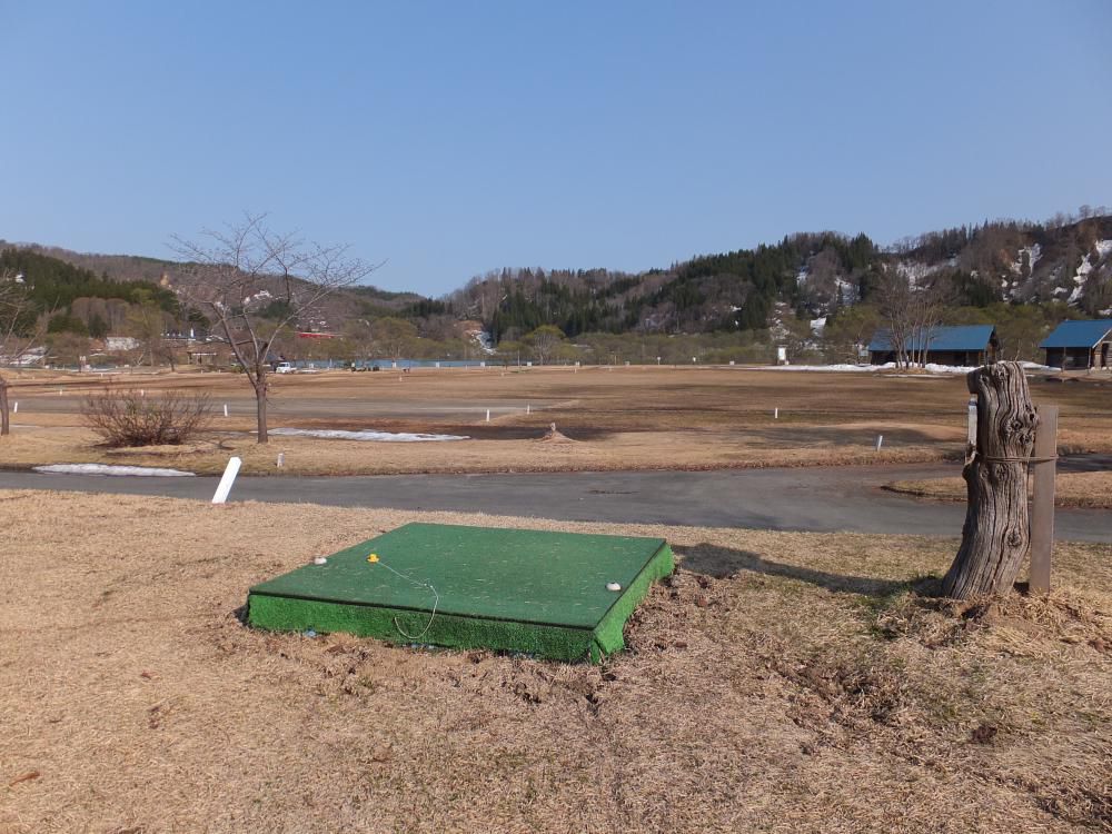 来た、来た、来た、来た、春が来た。