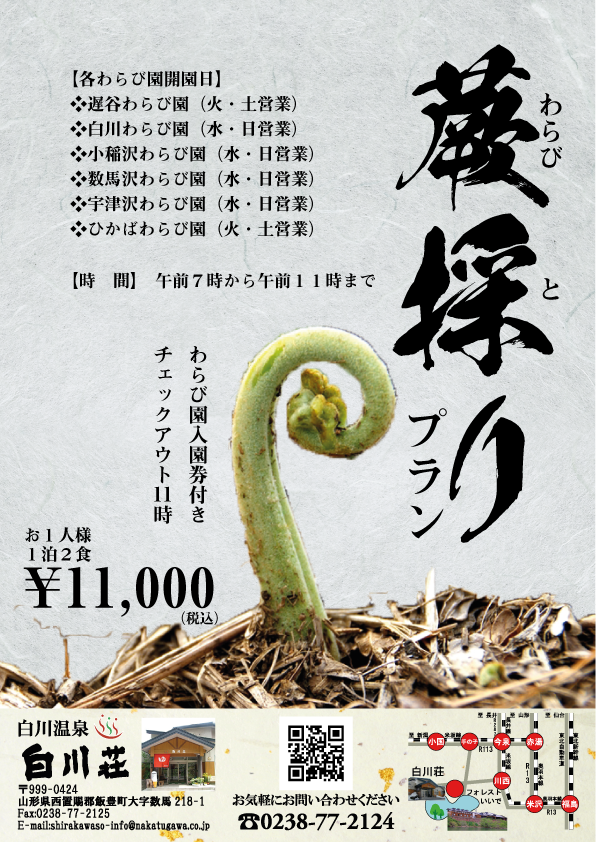 わらび採りプラン