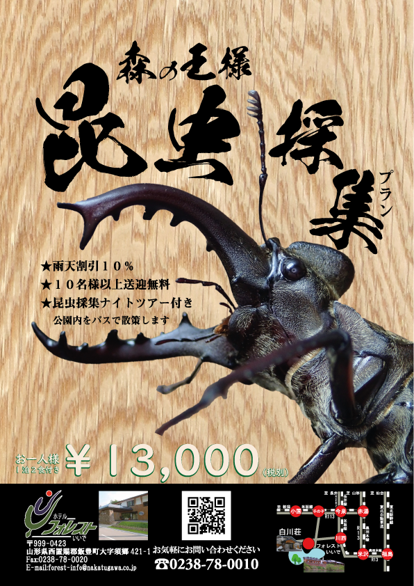 昆虫採取プラン