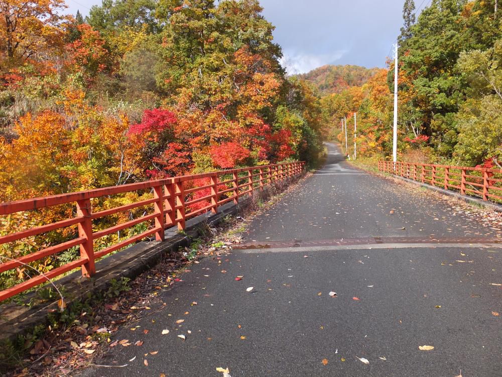 「錦秋絵道」　　中津川の（きんしゅうかいどう）ひた走り。