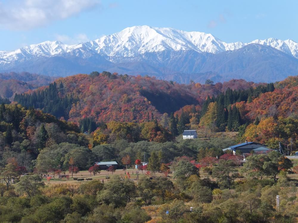 純白　飯豊山
