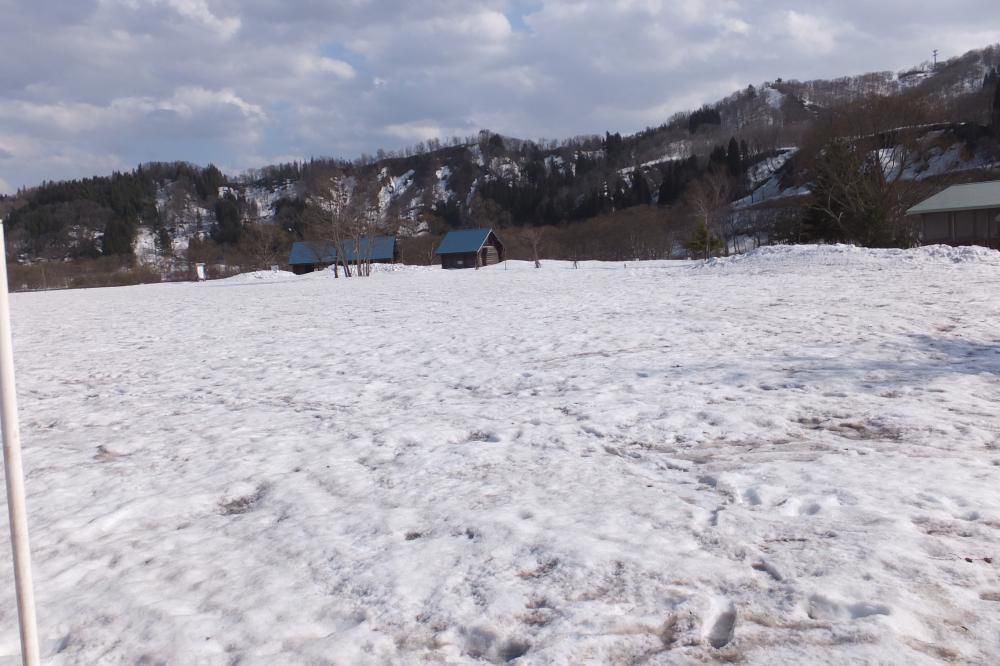 ただいま残雪65ｃｍ　。なかなかしぶといッス。