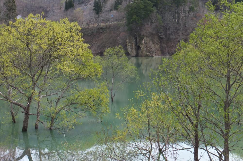 水没林も飯豊山も最高!!