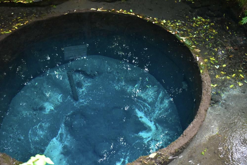 『アオを求めてー柿田川湧水ー』