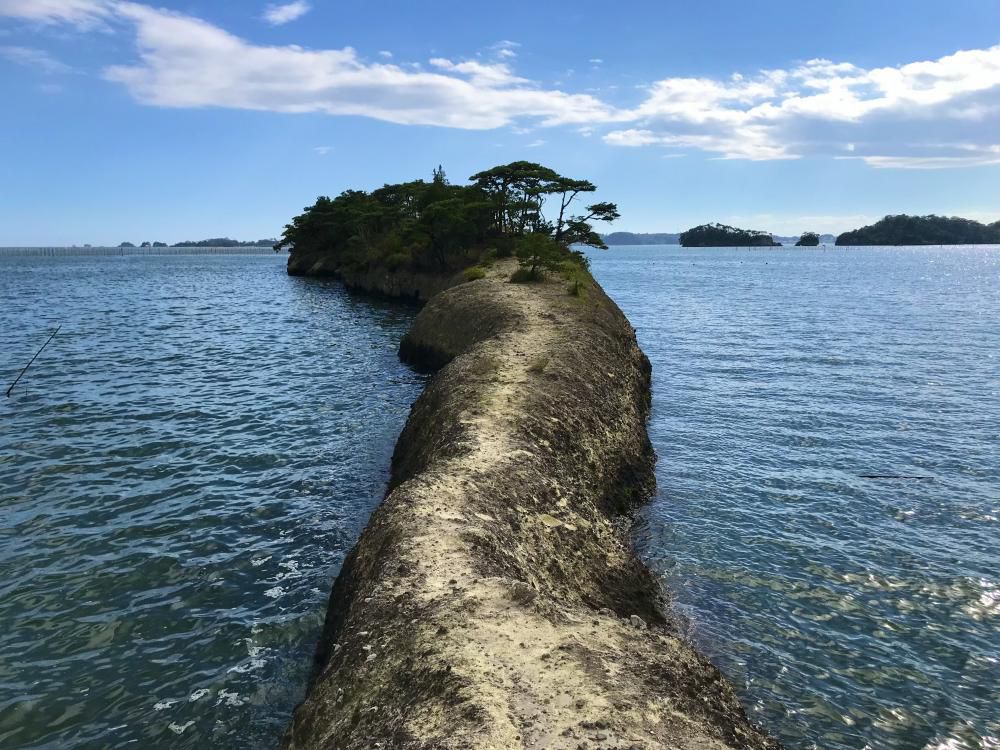 『アオを求めてー松島、馬の背ー』