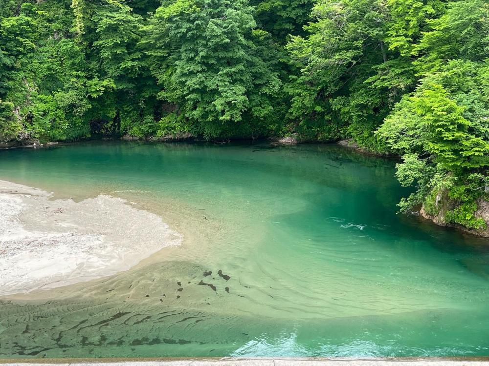 『アオを求めてー玉川渓流ー』