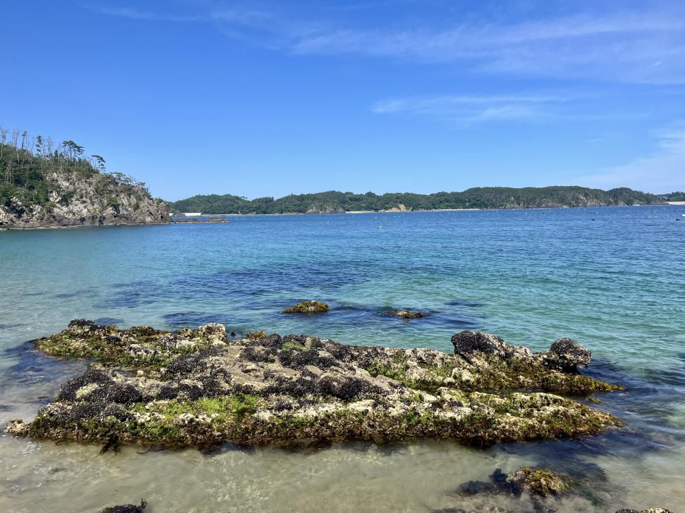 『アオを求めてー大島、十八鳴浜ー』