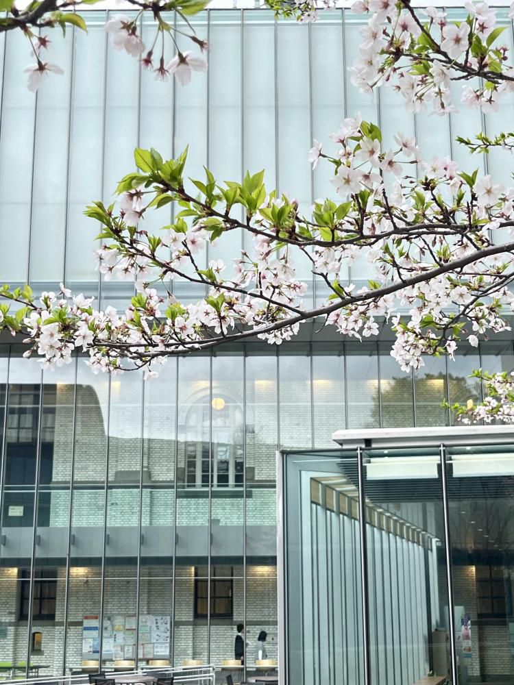 『東京で温める時間』