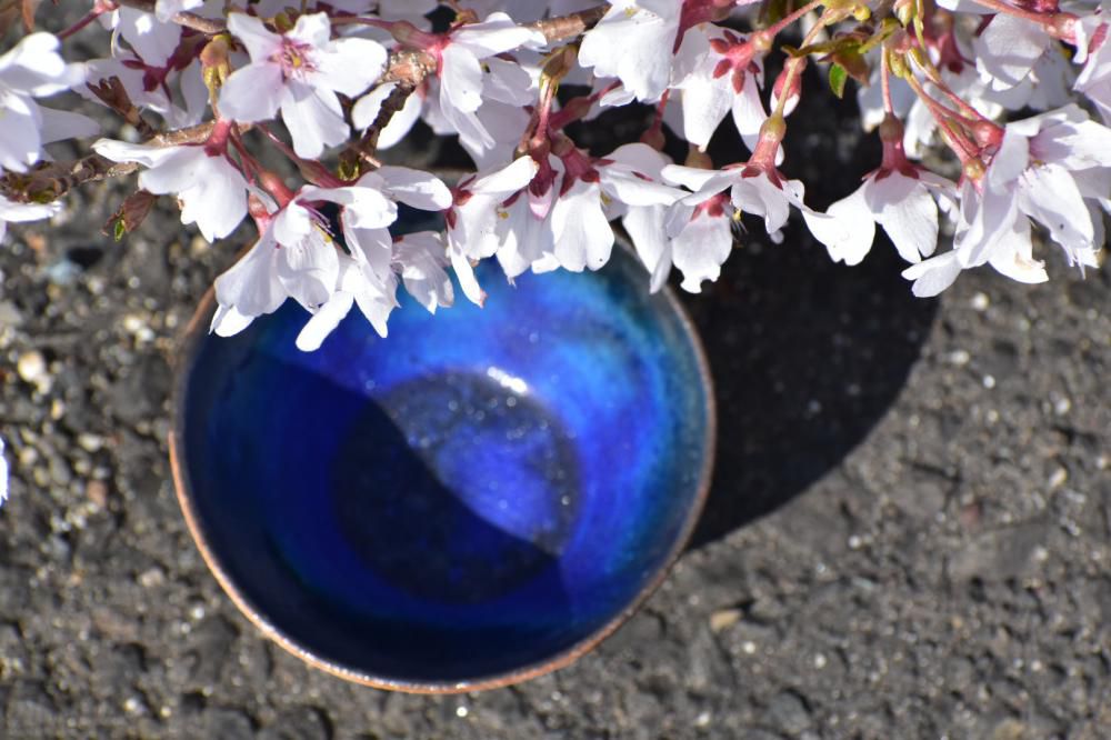 『蒼塵窯も5周年。想定外から今がある』