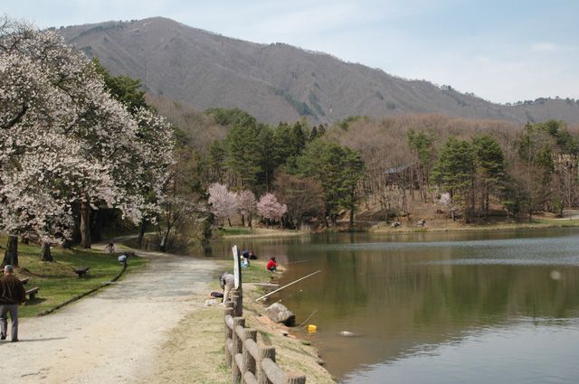 中里堤とキャンプ場