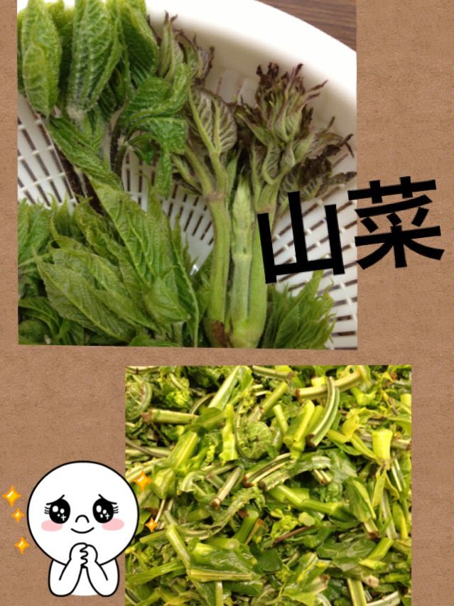 ５月１０日