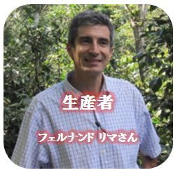 【新発売】エル　ミラドール農園２０１２年ロットのご紹介！