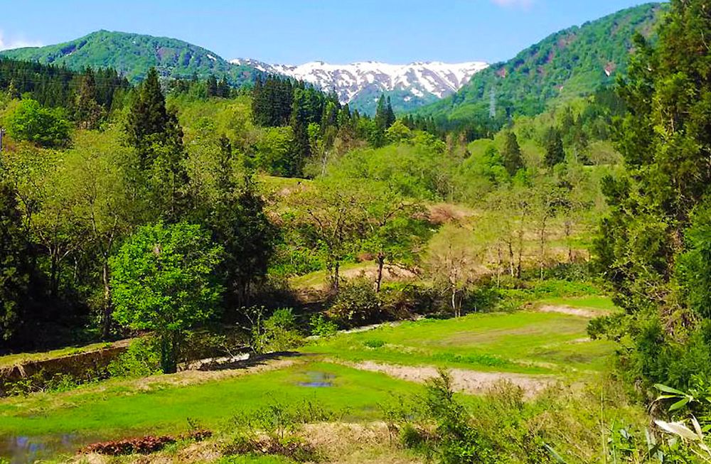 先祖代々守ってきた山「雪の観音郷」の湧き水とは？