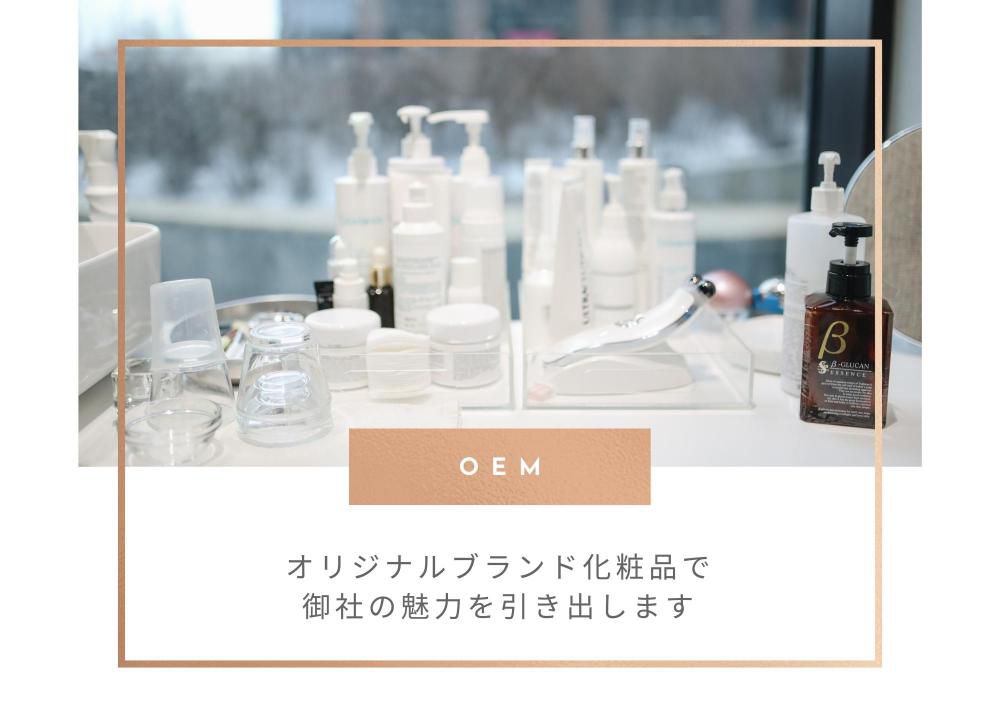OEMの説明パンフレット作製致しました。