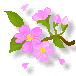 かっちゃ