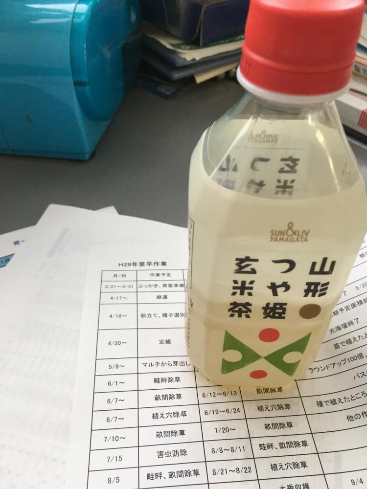 29年反省会